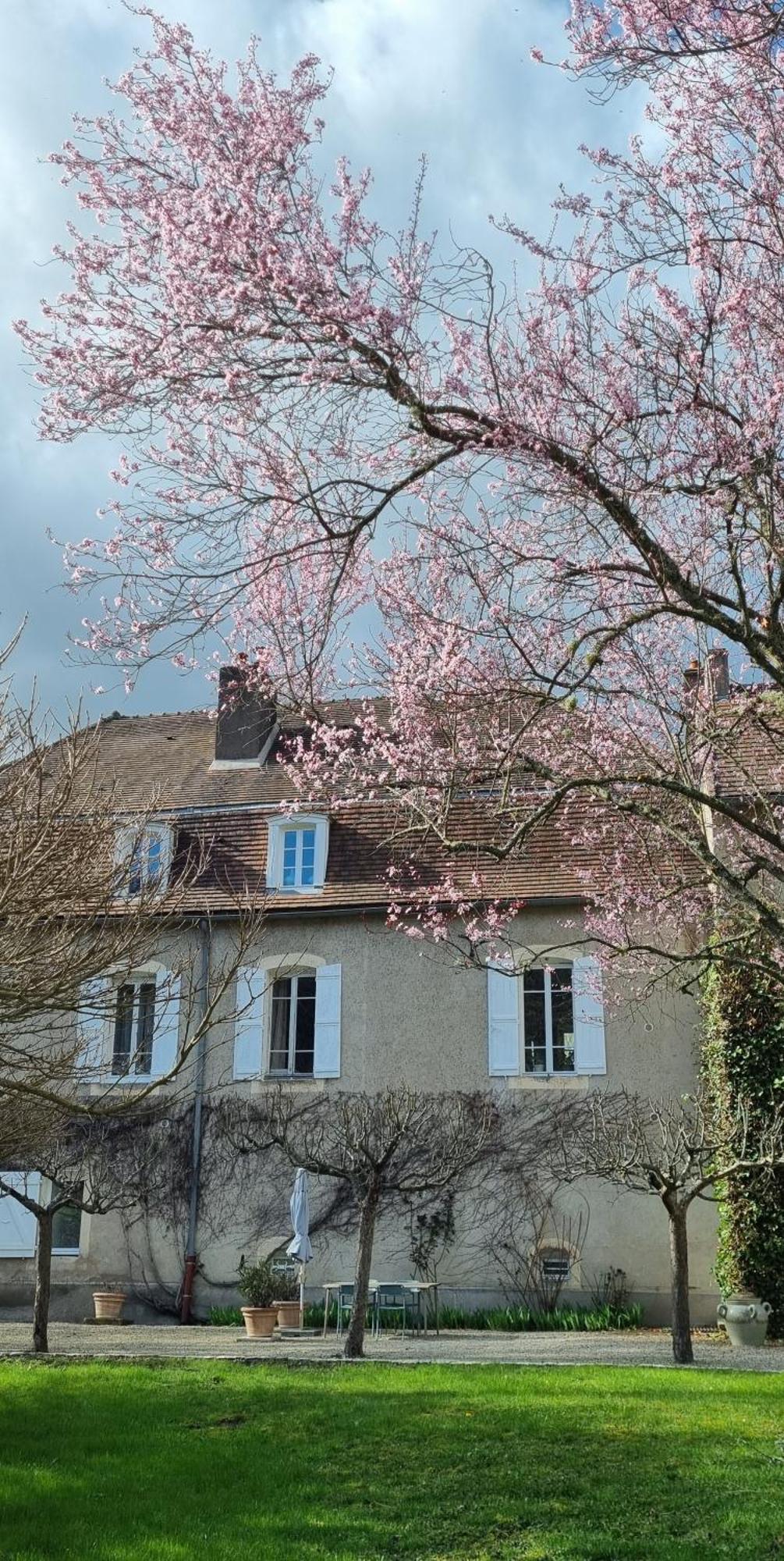 Moulin Renaudiots - Maison D'Hotes Autun Exterior foto